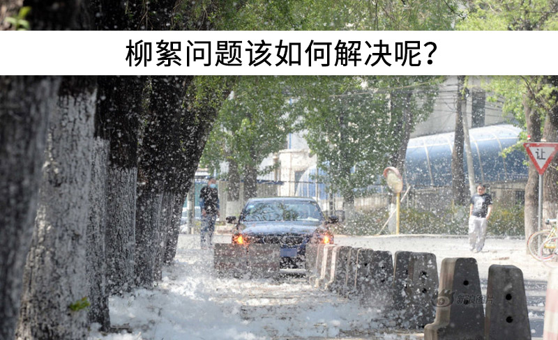 遇到“柳絮”不慌!這樣做，節能維修費用